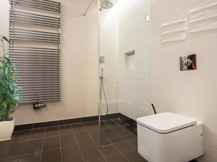 Paroi de douche en verre Paroi de douche en verre